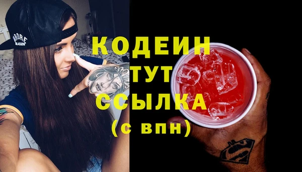 сатива Костерёво